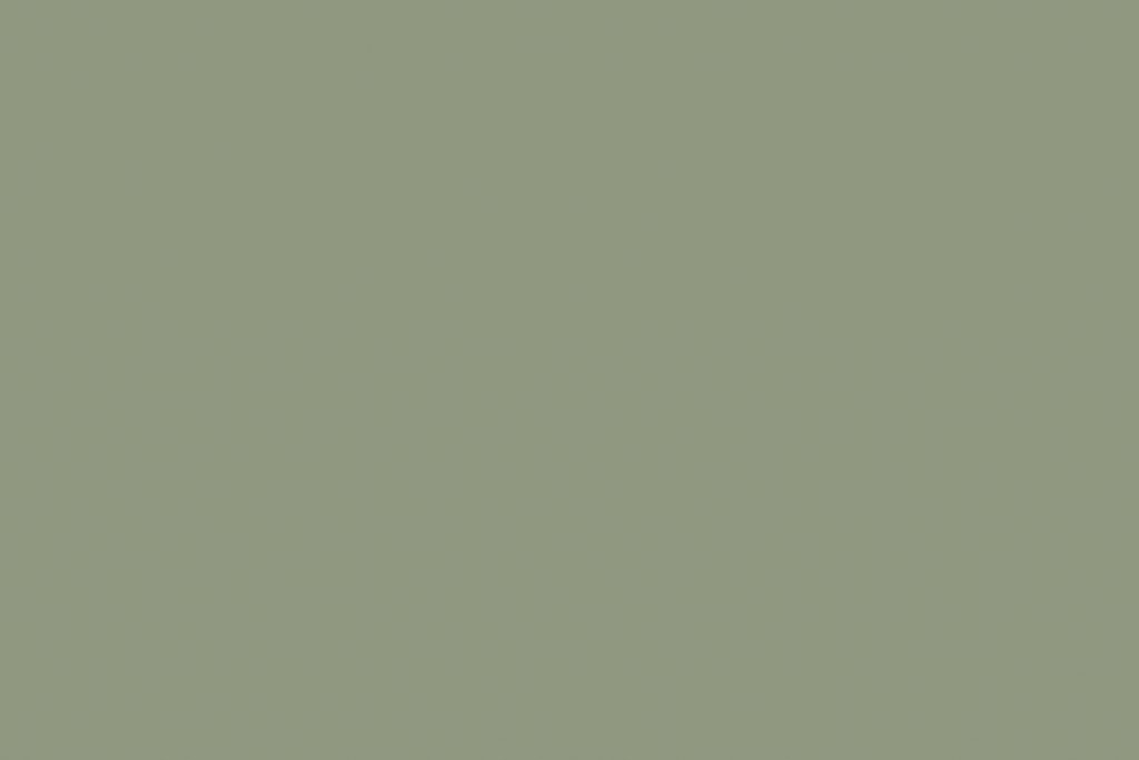 pure paper color pale green 018 skin